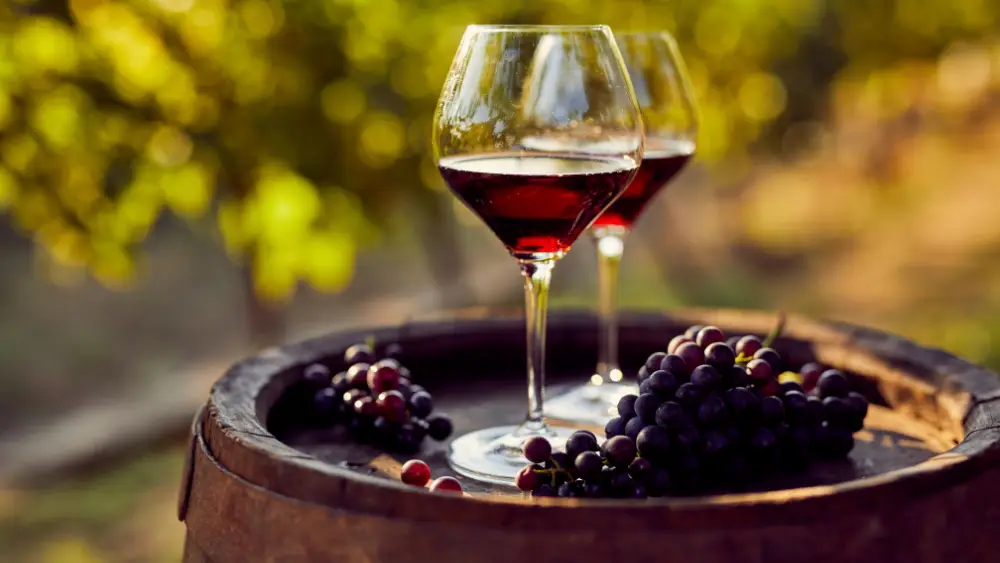 A Glass of Greek Red Wine a Day