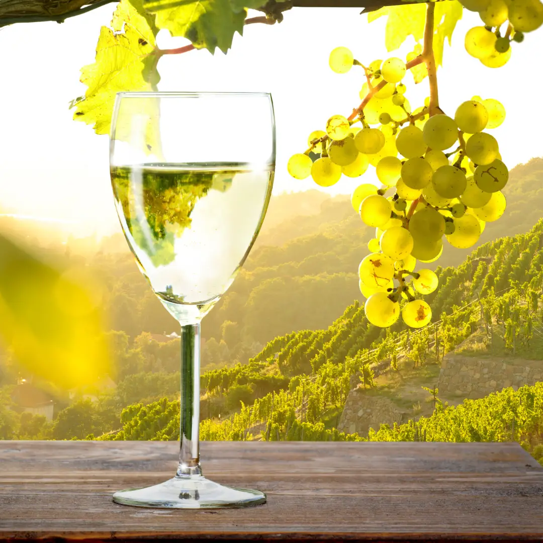 GREEK WINES