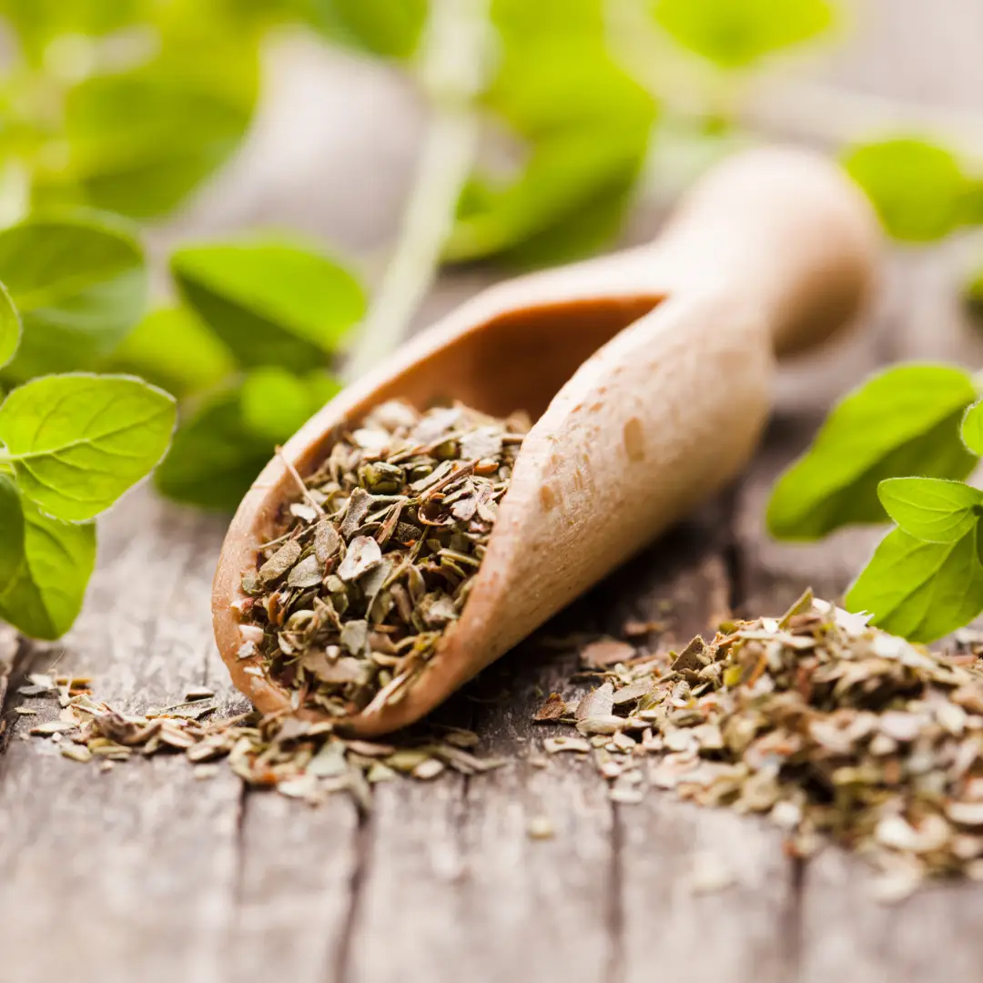 HERBS