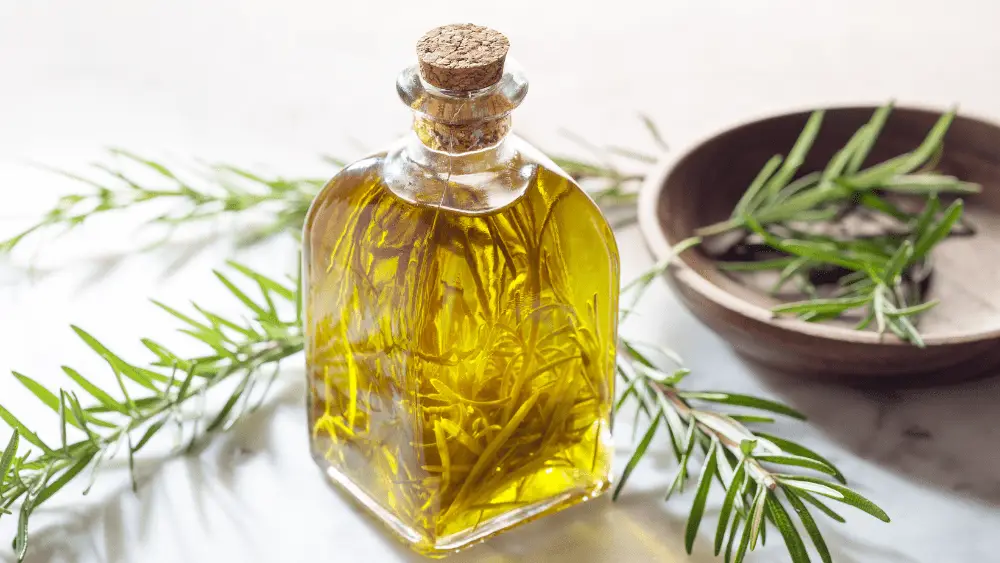 Discover the Richness of Greek Olive Oil